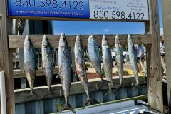 441921514_988745829919573_5361187858751728888_n