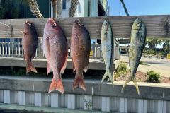 448371706_998489758945180_1864625447727693054_n