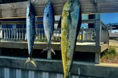 449751098_1012691514191671_7246397339441037806_n