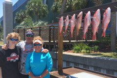a group next to seven redfish at a cleaning station