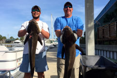 man in white shirt holding a large grouper next to man in blue shirt holding a grouper