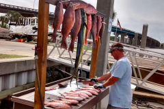 redfish cleaning station