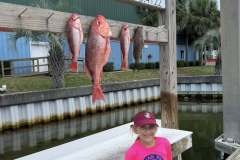 548504338_1381989860595166_6793274954877520879_n