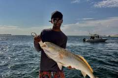 550727346_1387680030026149_5365652348753523226_n